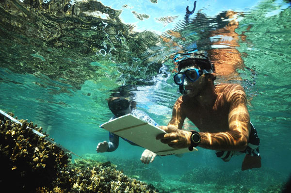 Quiksilver_GreenCampaing_ReefCheck_Je-re-myFlores-(Medium)