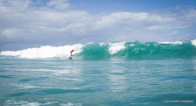 10458489_828598097159516_6643033562819989717_n