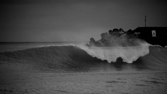 ZShrNSTEZHvQHKi-556x313-noPad