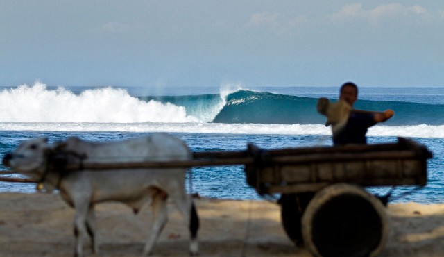 screen-shot-2014-11-29-at-3-11-22-pm