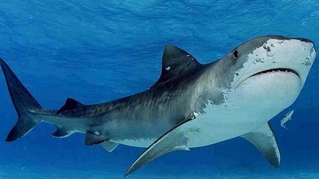 381246-1a0c362a-c25d-11e4-95d8-f89106057fd0