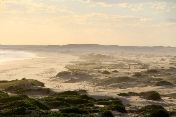 1509920_449254425180601_1071074675_n-600x400