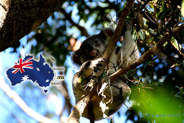 australia_cathay_2015