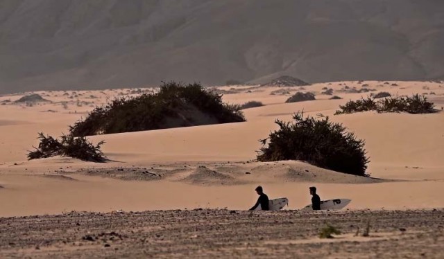 489b4882-d45a-4deb-8948-70fc25acfa1b