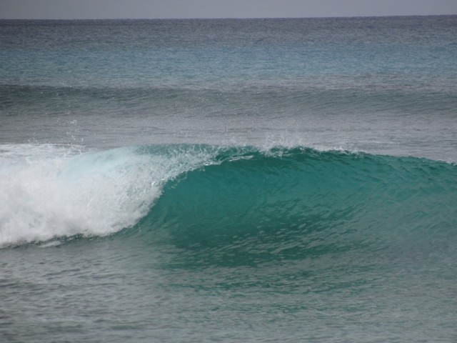 Surf a Barbados 010