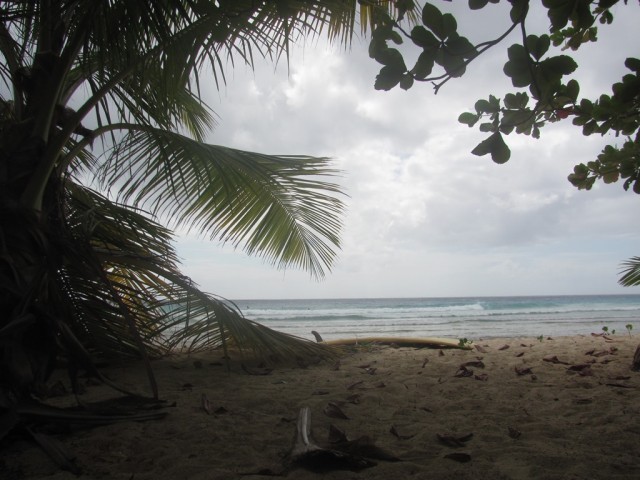Surf a Barbados 08
