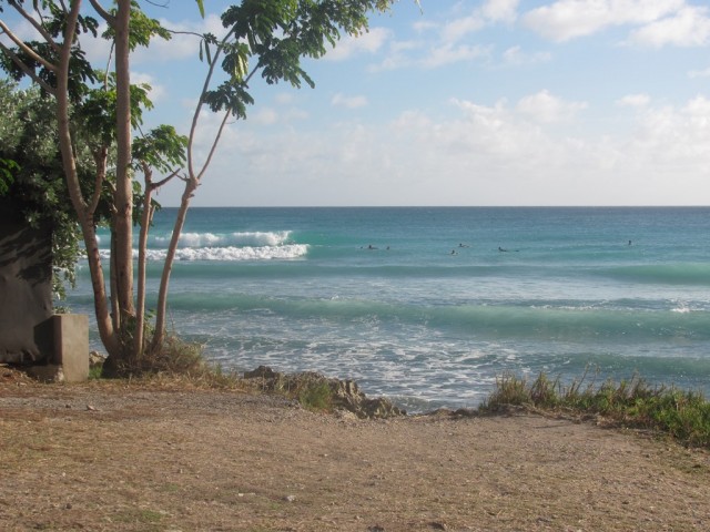 Surf a barbados 04
