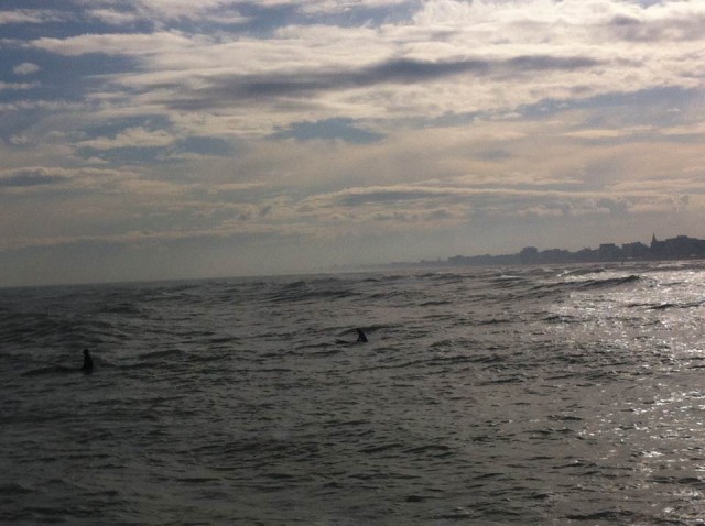 Surfando-a-Santa-Monica-....-o-quasi---2-1