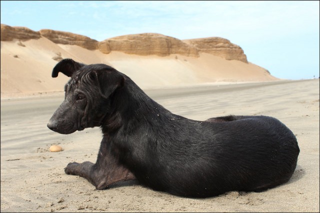 Dai,-Chicama-e-“mezzo”-Craig-Anderson...Tutto-questo-in-Perù-2