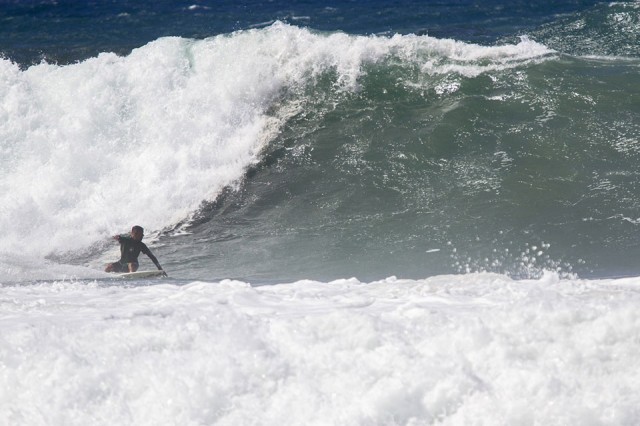 Frozen-Open_Gavino-Dettori