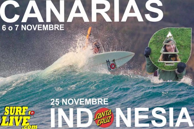 SURFtoLIVE_november2