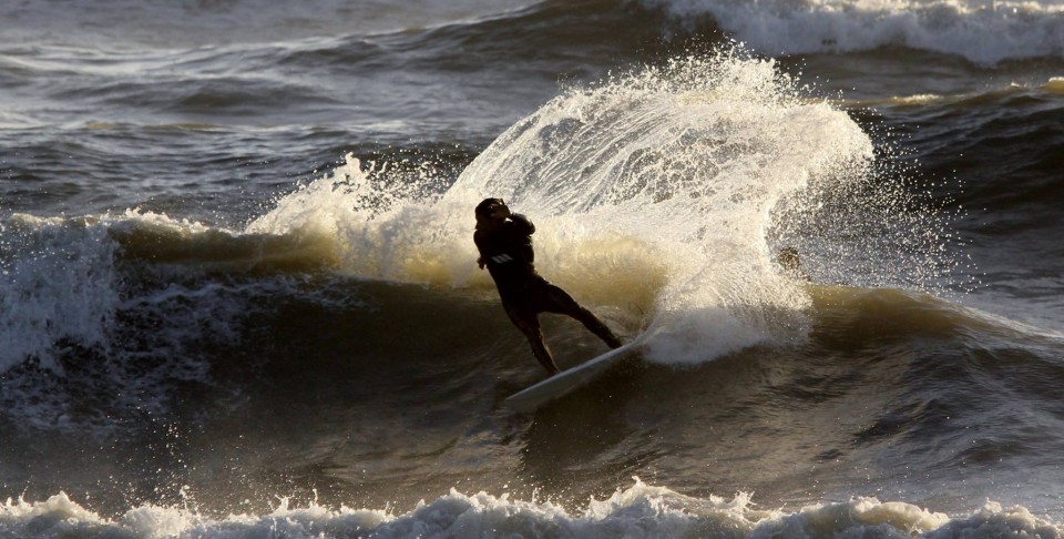 12620623_906378016097346_982823018_o