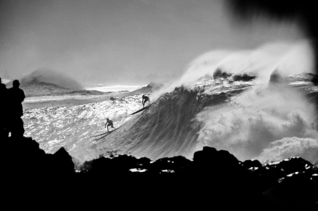 12698585_10153170131567574_1878273779758492952_o