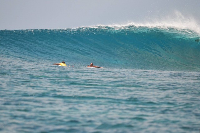 12823356_10153902452207978_3207758877236540879_o