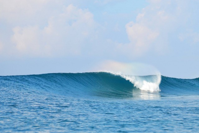 12841372_10153902446662978_2462163997125770131_o