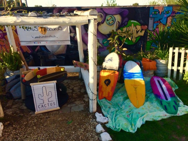 12894555_10205780187839720_910452931_o