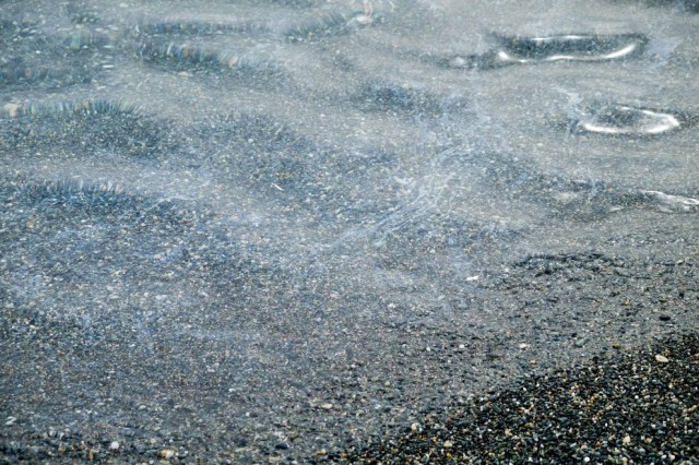 180546547-531da190-d806-4194-9c99-c182b41e3661