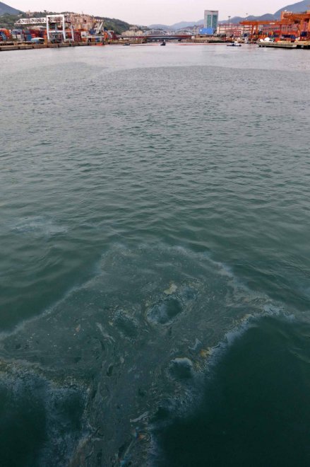 180802057-bfcb183a-c26e-45ff-9261-2bf6fea89066