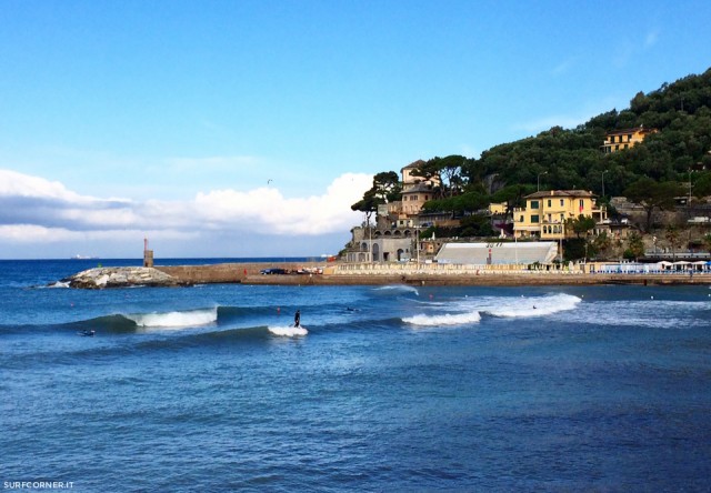 Recco_Surfestival_2016-8617