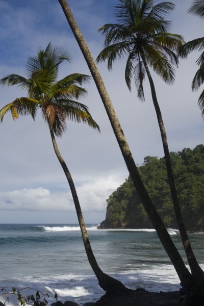 Inna Di Caribbean (4)