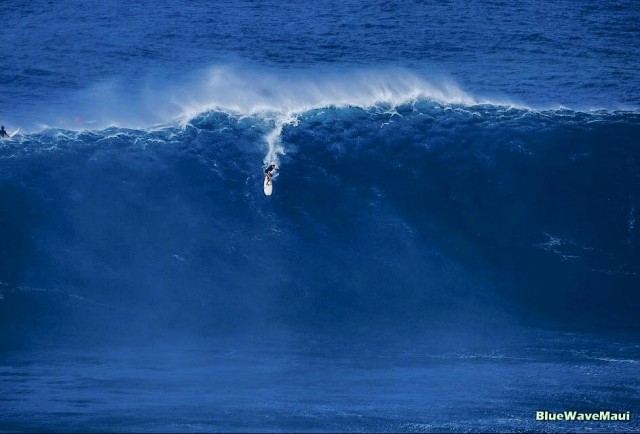 14908373_1688717871348986_1886469517124335626_n