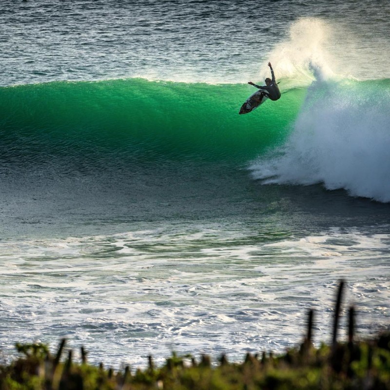 11717436_976389859049258_37022609860938576_o