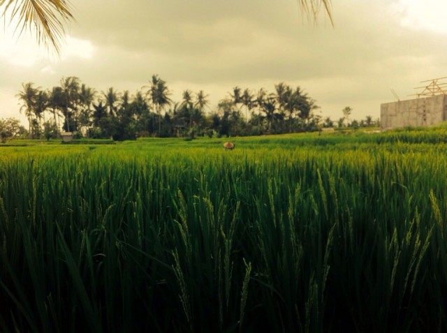 dalla-parte-di-lei-8